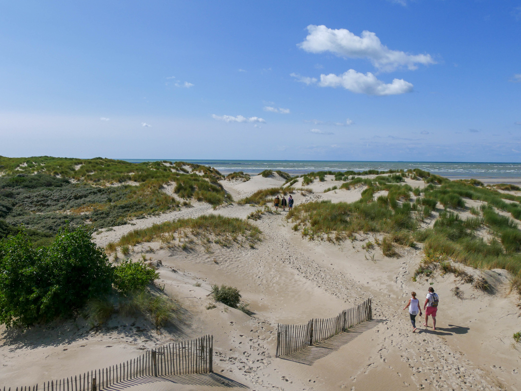 baie de canche dunes