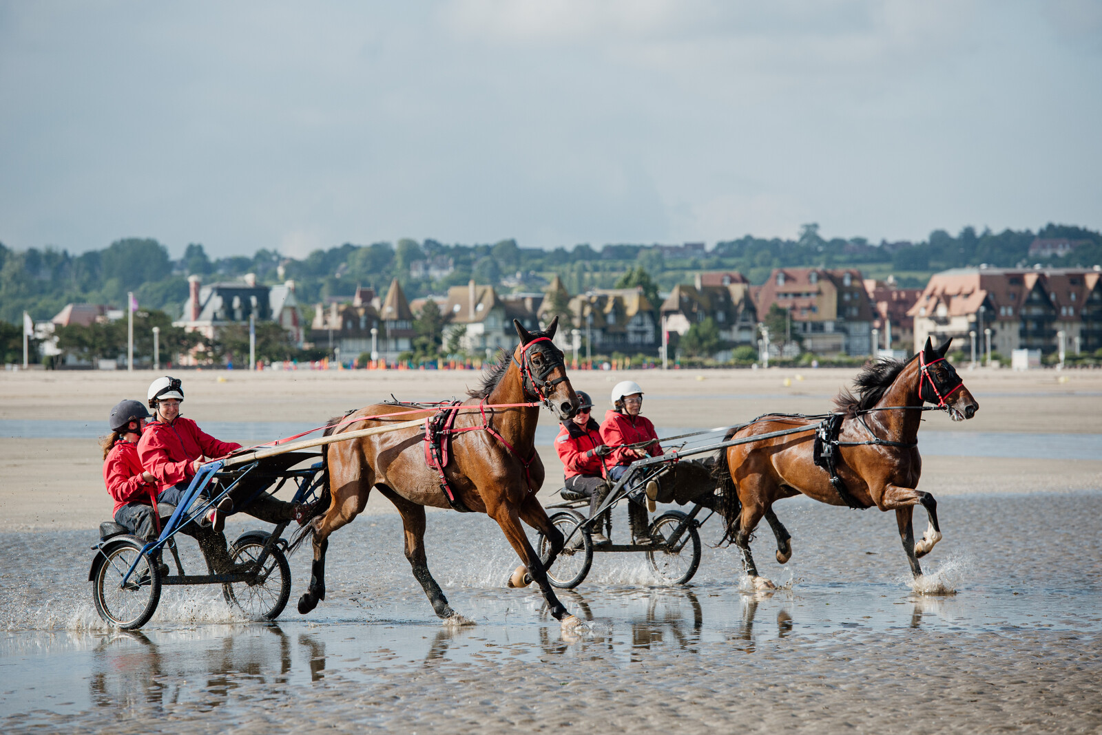 cheval sur la plage deauville