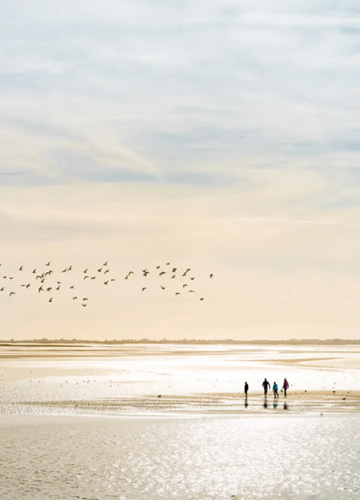 Baie de Somme ©B. Bremer