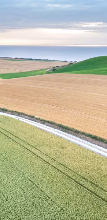 Blick auf die Bucht von Wissant