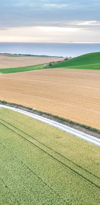 Blick auf die Bucht von Wissant